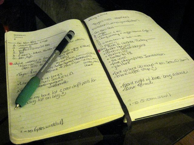 daily journal